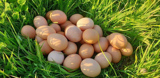 Grönbetesägg